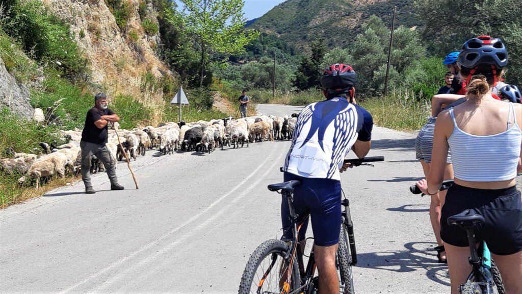 Deres Shepherd Cyclists 1024x576, Hellas Bike Greece